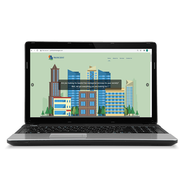 Proficient Website Development by DHM